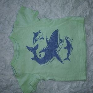 EUC Carter's baby boy T-shirt, 9 mos